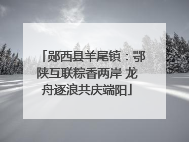 郧西县羊尾镇：鄂陕互联粽香两岸 龙舟逐浪共庆端阳