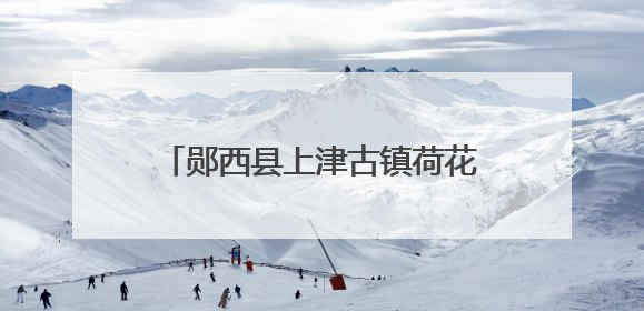 郧西县上津古镇荷花初绽邂逅夏日浪漫