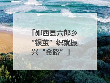 郧西县六郎乡“银茧”织就振兴“金路”