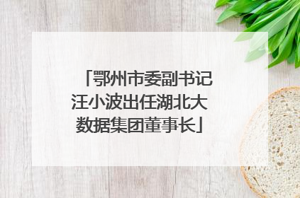 鄂州市委副书记汪小波出任湖北大数据集团董事长