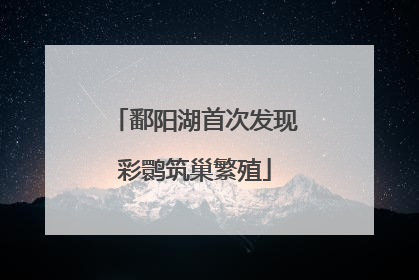 鄱阳湖首次发现彩鹮筑巢繁殖