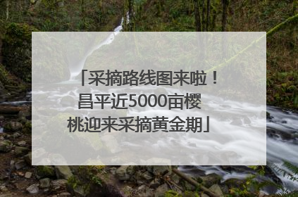 采摘路线图来啦！昌平近5000亩樱桃迎来采摘黄金期