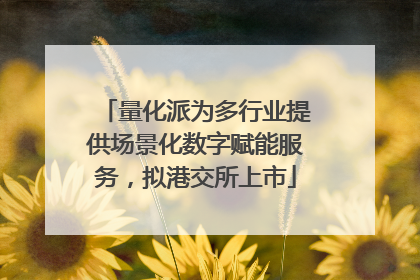 量化派为多行业提供场景化数字赋能服务，拟港交所上市