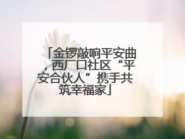金锣敲响平安曲，西厂口社区“平安合伙人”携手共筑幸福家