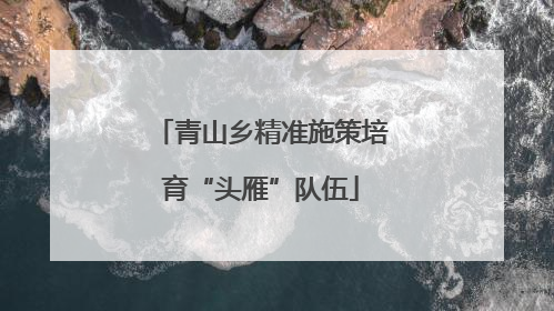 青山乡精准施策培育“头雁”队伍
