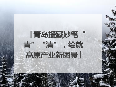 青岛援藏妙笔“青”“清”，绘就高原产业新图景