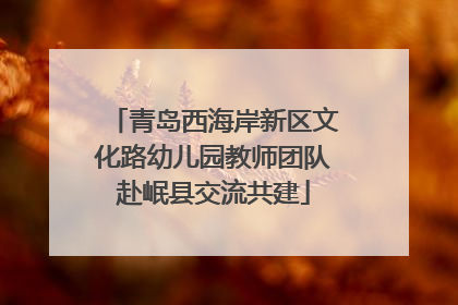 青岛西海岸新区文化路幼儿园教师团队赴岷县交流共建