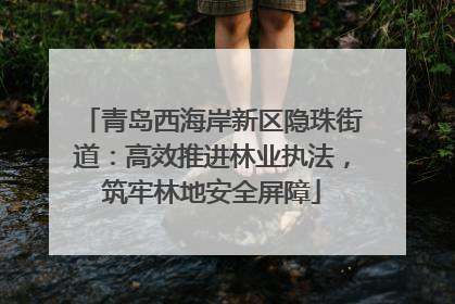 青岛西海岸新区隐珠街道：高效推进林业执法，筑牢林地安全屏障
