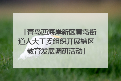 青岛西海岸新区黄岛街道人大工委组织开展辖区教育发展调研活动