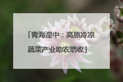 青海湟中：高原冷凉蔬菜产业助农增收