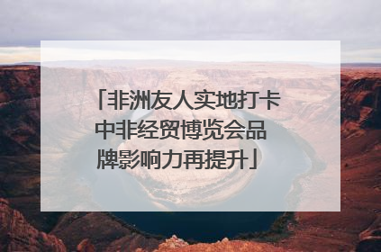 非洲友人实地打卡 中非经贸博览会品牌影响力再提升