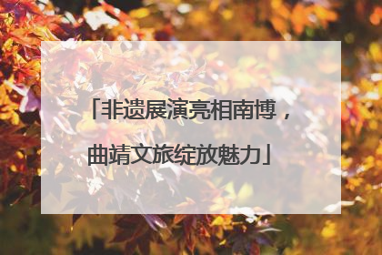 非遗展演亮相南博，曲靖文旅绽放魅力