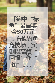 钓中“标鱼”最高奖金30万元，看似钓鱼竞技场，实则以高额“回报”作“饵”……｜今晚九点半