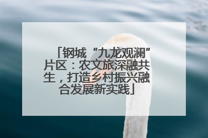 钢城“九龙观澜”片区：农文旅深融共生，打造乡村振兴融合发展新实践