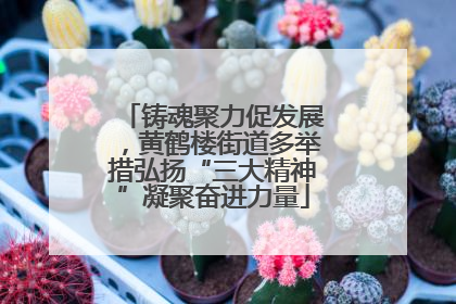 铸魂聚力促发展，黄鹤楼街道多举措弘扬“三大精神”凝聚奋进力量