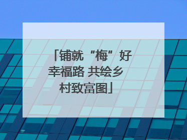 铺就“梅”好幸福路 共绘乡村致富图