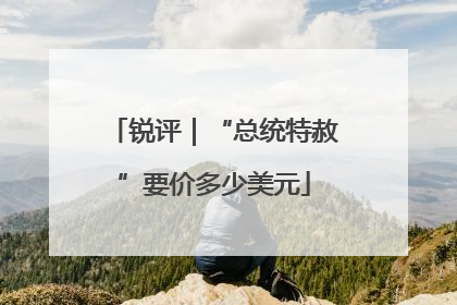 锐评｜“总统特赦”要价多少美元