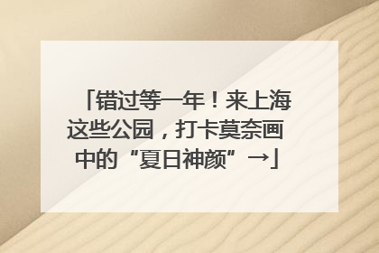 错过等一年！来上海这些公园，打卡莫奈画中的“夏日神颜”→