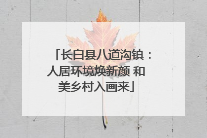 长白县八道沟镇：人居环境焕新颜 和美乡村入画来