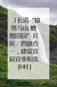 长清“锦绣马山 鲤想田园”片区：四链合一，建设宜居宜业和美乡村