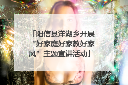 阳信县洋湖乡开展“好家庭好家教好家风”主题宣讲活动