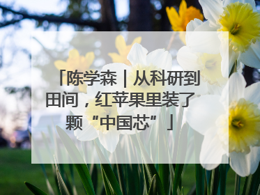 陈学森｜从科研到田间，红苹果里装了颗“中国芯”