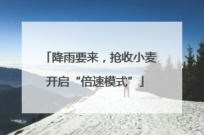 降雨要来，抢收小麦开启“倍速模式”