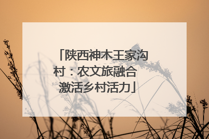 陕西神木王家沟村：农文旅融合 激活乡村活力
