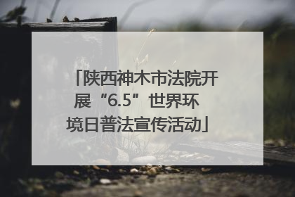 陕西神木市法院开展“6.5”世界环境日普法宣传活动