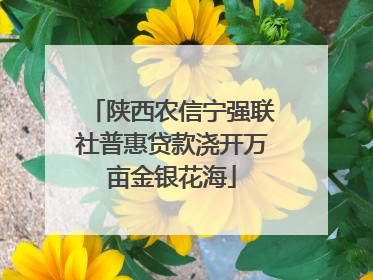陕西农信宁强联社普惠贷款浇开万亩金银花海