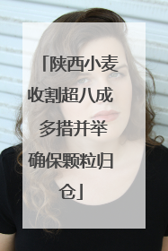 陕西小麦收割超八成 多措并举确保颗粒归仓