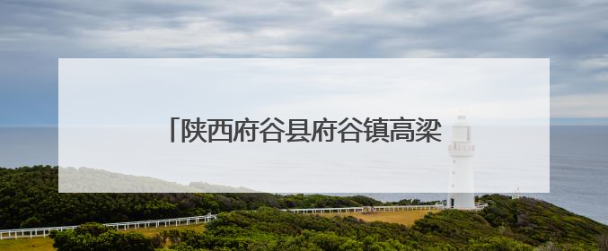 陕西府谷县府谷镇高梁村：乡货“触网出村” 农户“云端致富”