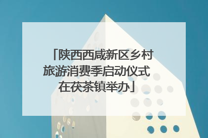陕西西咸新区乡村旅游消费季启动仪式在茯茶镇举办