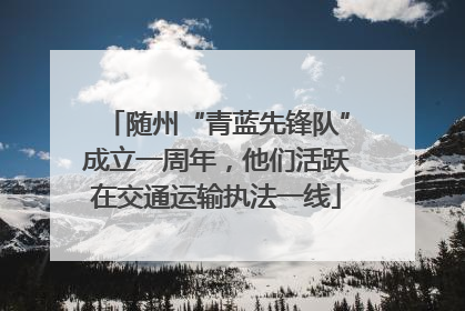 随州“青蓝先锋队”成立一周年，他们活跃在交通运输执法一线