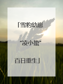 雪豹幼崽“凌小蛰”百日重生
