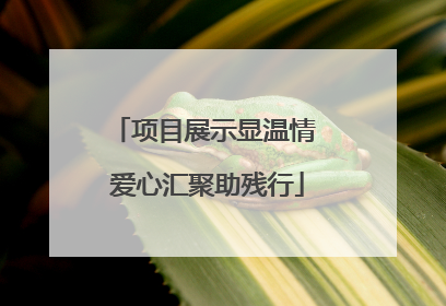 项目展示显温情 爱心汇聚助残行