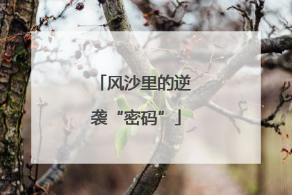 风沙里的逆袭“密码”