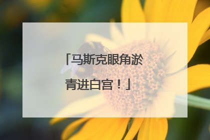 马斯克眼角淤青进白宫！
