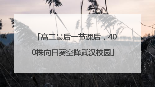 高三最后一节课后，400株向日葵空降武汉校园