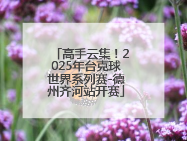 高手云集！2025年台克球世界系列赛-德州齐河站开赛