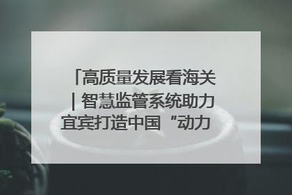 高质量发展看海关｜智慧监管系统助力宜宾打造中国“动力电池之都”