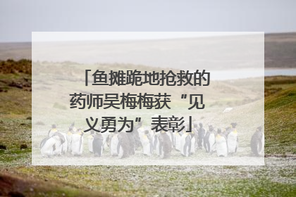 鱼摊跪地抢救的药师吴梅梅获“见义勇为”表彰