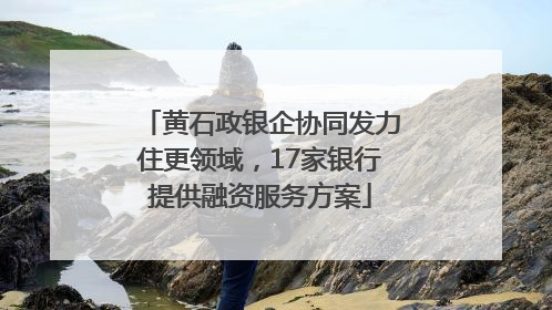 黄石政银企协同发力住更领域，17家银行提供融资服务方案