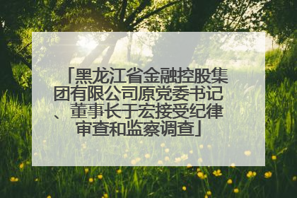黑龙江省金融控股集团有限公司原党委书记、董事长于宏接受纪律审查和监察调查