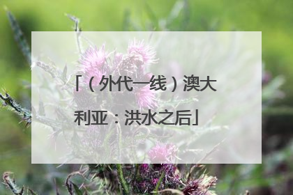 （外代一线）澳大利亚：洪水之后
