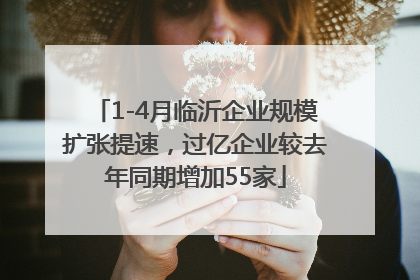 1-4月临沂企业规模扩张提速，过亿企业较去年同期增加55家