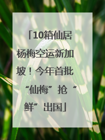 10箱仙居杨梅空运新加坡！今年首批“仙梅”抢“鲜”出国