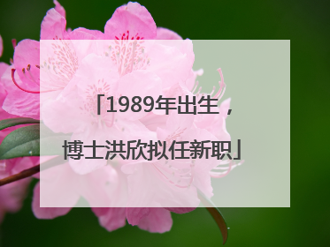 1989年出生，博士洪欣拟任新职
