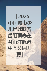 2025中国城市少儿足球联赛岳阳预赛在君山江豚湾生态公园开幕