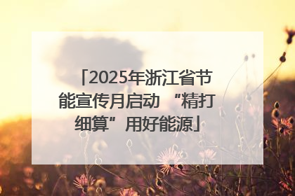 2025年浙江省节能宣传月启动 “精打细算”用好能源